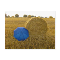 Postkarte - ein ungleiches Paar