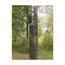 Postkarte - hoch oben
