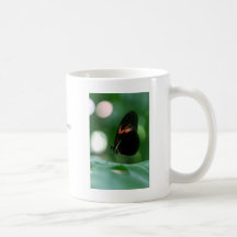 Postman Butterfly II Coffee Mugs