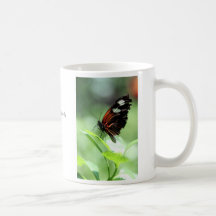 Postman Butterfly III Mugs