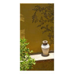 Pot, Fresco and Lemon Tree San Miguel de Allende photo cards