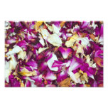 Pot Pourri Photo photography
