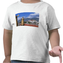 Potala Palace in Lhasa, Tibet taken from Shirts