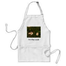 Potentilla Shrub Apron