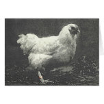 POULE cards