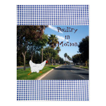 Poultry in Motion Post Card