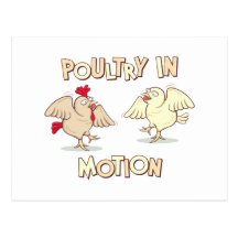 Poultry in Motion Postcards