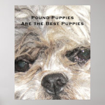Pound Puppies Poster