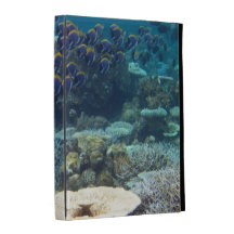 Powder Blue Surgeon Fish iPad Folio Covers