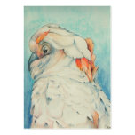 Powder Puff ~ Salmon Crested Cockatoo ACEO Cards business cards