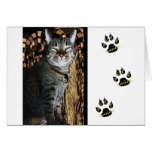 Power of Purrsuasion Greeting Card