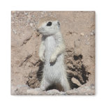 Power Ranger Squirrel Magnet