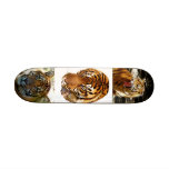 Power & Strength_ Skateboard
