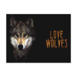 powerwolf postcards
