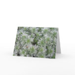 Powis Castle Artemisia Card