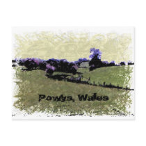 Powys Doodle Postcards