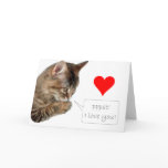 Pppst! I love you! cards