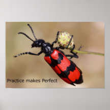 Practice Makes Perfect Print