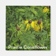 Prairie Coneflower Magnet