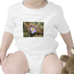 Prairie Crocus