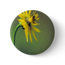 Prairie Dock Pinback Button