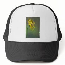 Prairie Dock Trucker Hat