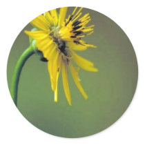 Prairie Dock Stickers