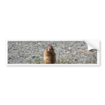 Prairie Dog Bumper Sticker