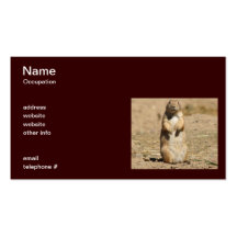 Prairie Dog Business Card