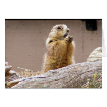 Prairie Dog Greeting Card