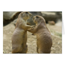 Prairie Dog Deal Greeting Card