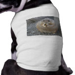 prairie dog dog tshirt