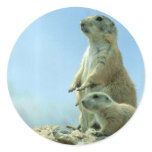 Prairie Dog Mother And Baby Sticker