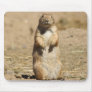 Prairie Dog Mousepad