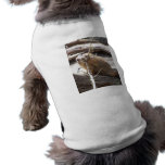 Prairie Dog Nibbling pet clothing
