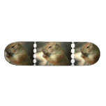 Prairie Dog Skateboard