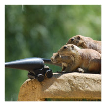 Prairie Dog Soldiers Invitations