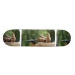Prairie Dog Soldiers Skateboard