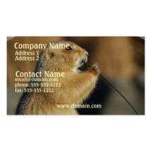 Prairie Dogs Business Card