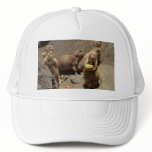 Prairie Dogs Eating Dinner 1 hats