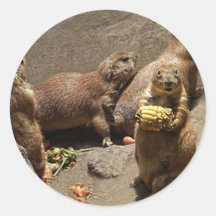 Prairie Dogs Eating Dinner 1 Stickers