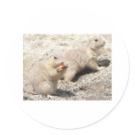 prairie dogs round sticker