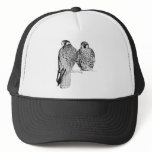 Prairie Falcons Mesh Hats