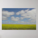 Prairie Fields Print Manitoba Landscape Prints