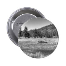 Prairie In South Lake Tahoe Pins