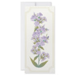 Prairie Phlox Rack Card /Bookmark/Profile Card rack cards