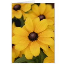 Prairie Sun Card