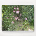 Prairie Views mousepads