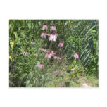 Prairie Views postcards
