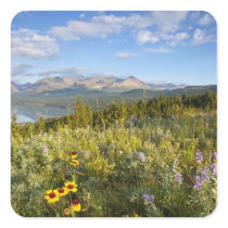 Prairie wildflowers and Lower Two Medicine Lake